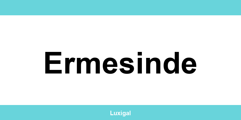 Contactos e telefone da EDP em Ermesinde
