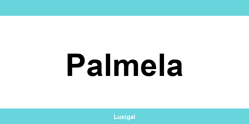 Contactos e telefone da EDP em Palmela