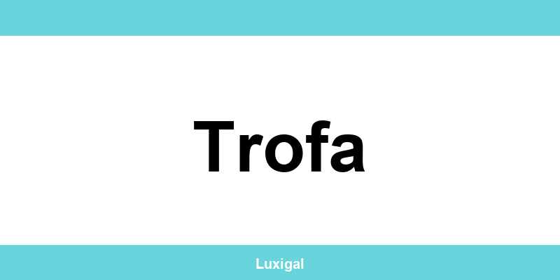 Contactos e telefone da EDP em Trofa